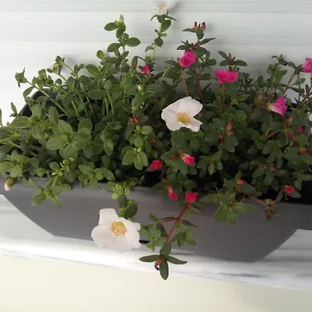 Evel House Skála Kallirákhis